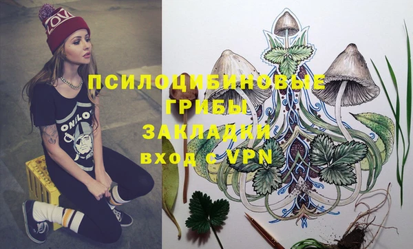 метадон Приозерск