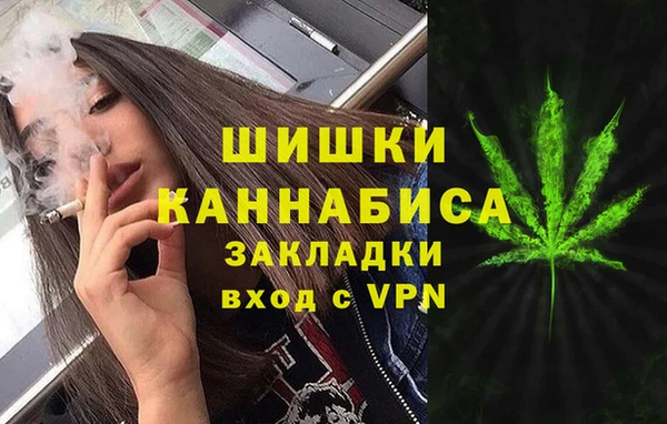 ешки Белокуриха