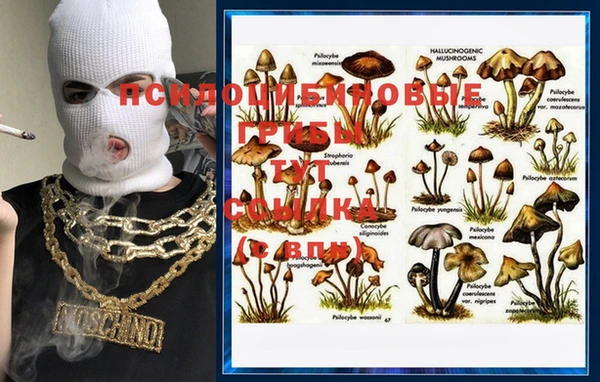 гашиш Белоозёрский