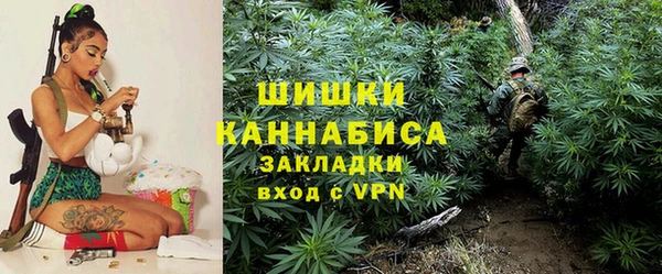 ешки Белокуриха