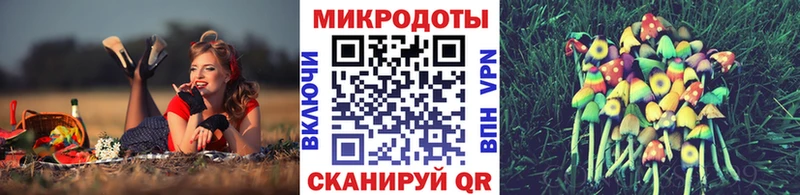 Галлюциногенные грибы ЛСД Невель