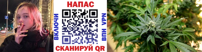 что такое   Невель  Бошки Шишки индика 
